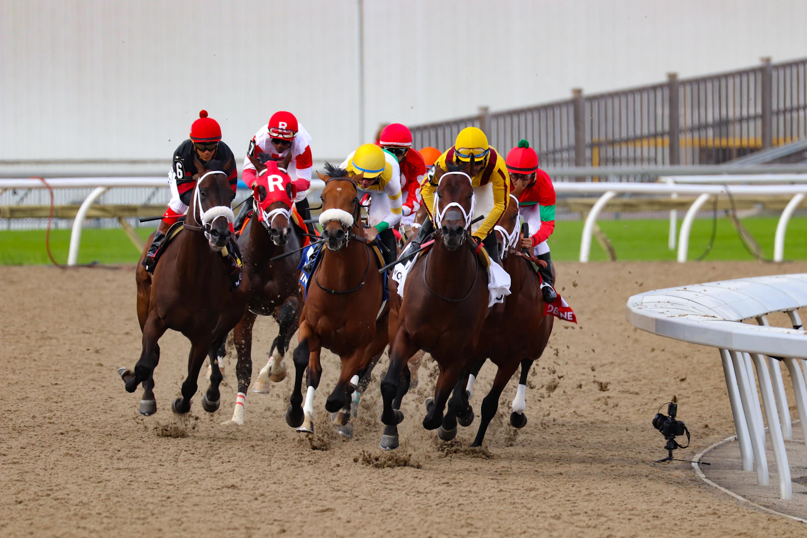 Des jockeys en pleine course de chevaux sur une piste de terre battue